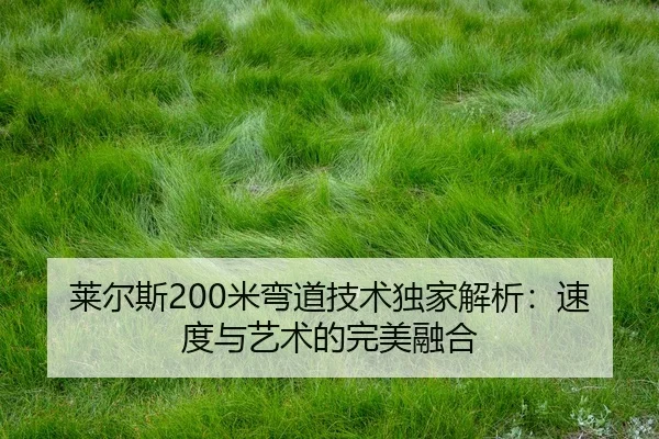 lai-er-si-mi-wan-dao-ji-shu-du-jia-jie-xi-su-du-yu-yi-shu-de-wan-mei-rong-he-2-587.jpg